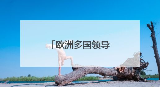 欧洲多国领导人抵达乌克兰基辅进行访问