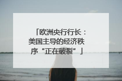 欧洲央行行长：美国主导的经济秩序“正在破裂”