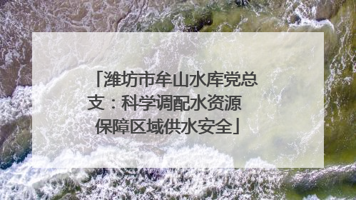 潍坊市牟山水库党总支：科学调配水资源 保障区域供水安全