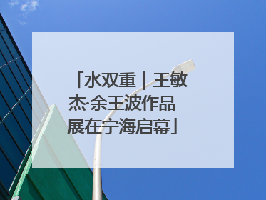 水双重｜王敏杰·余王波作品展在宁海启幕