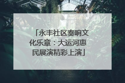 永丰社区奏响文化乐章：大运河惠民展演精彩上演