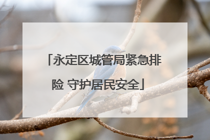 永定区城管局紧急排险 守护居民安全