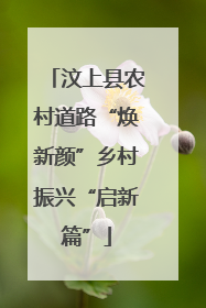 汶上县农村道路“焕新颜”乡村振兴“启新篇”