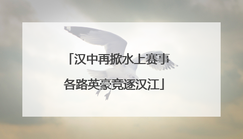 汉中再掀水上赛事 各路英豪竞逐汉江