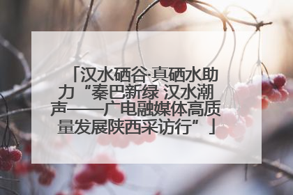 汉水硒谷·真硒水助力“秦巴新绿 汉水潮声——广电融媒体高质量发展陕西采访行”