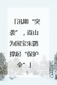 汛期“突袭”，崀山为国宝朱鹮撑起“保护伞”