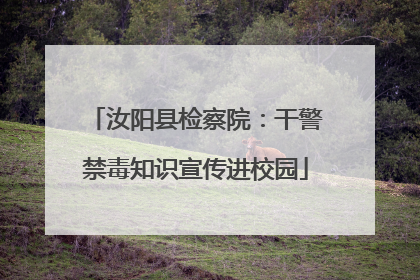 汝阳县检察院：干警禁毒知识宣传进校园
