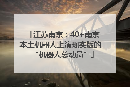 江苏南京：40+南京本土机器人上演现实版的“机器人总动员”