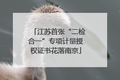 江苏首张“二检合一”专项计量授权证书花落南京