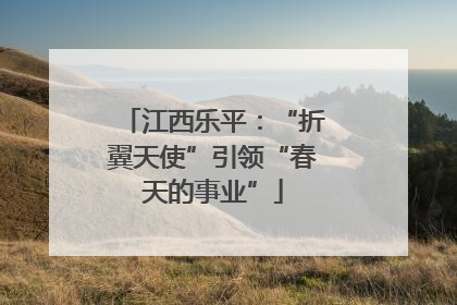 江西乐平：“折翼天使”引领“春天的事业”