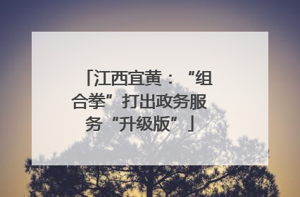 江西宜黄：“组合拳”打出政务服务“升级版”