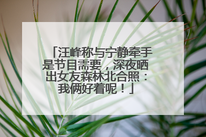 汪峰称与宁静牵手是节目需要，深夜晒出女友森林北合照：我俩好着呢！
