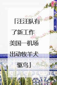 汪汪队有了新工作 美国一机场出动牧羊犬驱鸟
