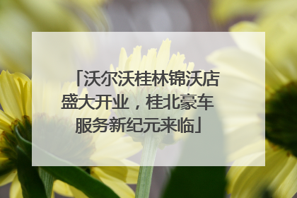 沃尔沃桂林锦沃店盛大开业，桂北豪车服务新纪元来临