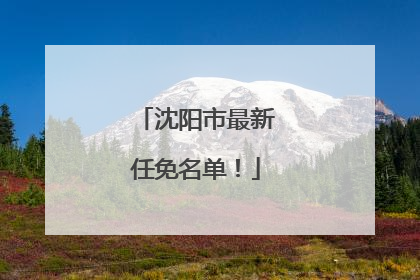 沈阳市最新任免名单！