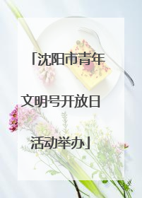 沈阳市青年文明号开放日活动举办