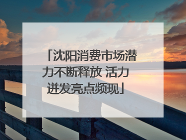 沈阳消费市场潜力不断释放 活力迸发亮点频现