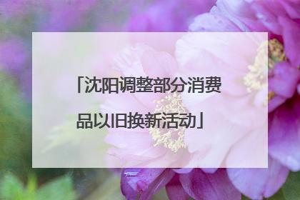 沈阳调整部分消费品以旧换新活动