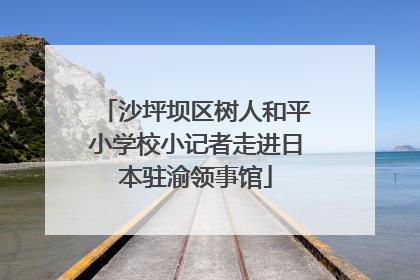 沙坪坝区树人和平小学校小记者走进日本驻渝领事馆
