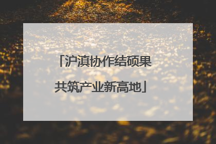 沪滇协作结硕果 共筑产业新高地