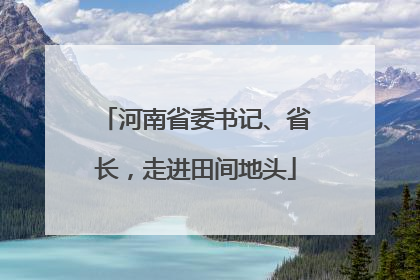 河南省委书记、省长，走进田间地头