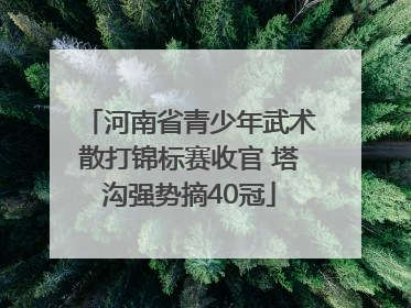 河南省青少年武术散打锦标赛收官 塔沟强势摘40冠