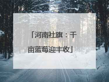河南社旗：千亩蓝莓迎丰收