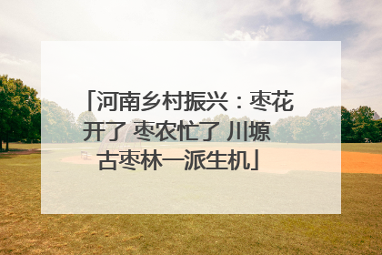 河南乡村振兴：枣花开了 枣农忙了 川塬古枣林一派生机