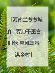 河南兰考考城镇：麦浪千重喜归仓 惠风暖意满乡村