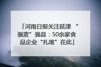 河南日报关注延津 “强麦”强县：50余家食品企业“扎堆”在此