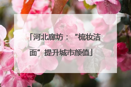 河北廊坊：“梳妆洁面”提升城市颜值