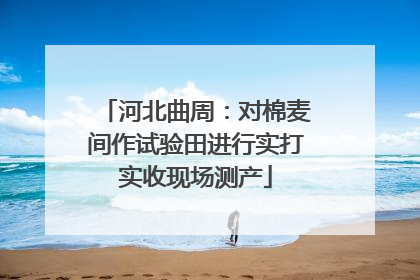 河北曲周：对棉麦间作试验田进行实打实收现场测产