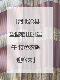 河北沧县：盐碱稻田过端午 特色农旅迎客来
