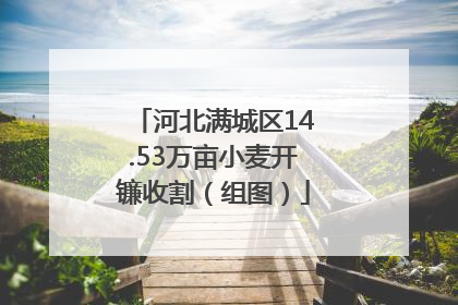 河北满城区14.53万亩小麦开镰收割（组图）