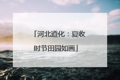 河北遵化：夏收时节田园如画
