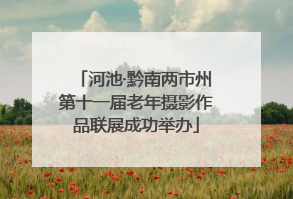 河池·黔南两市州第十一届老年摄影作品联展成功举办