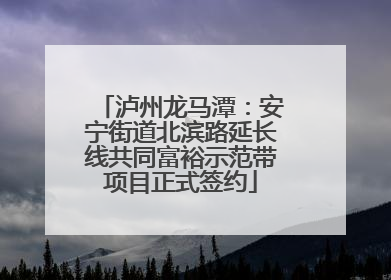 泸州龙马潭：安宁街道北滨路延长线共同富裕示范带项目正式签约