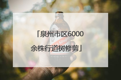 泉州市区6000余株行道树修剪