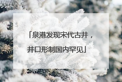 泉港发现宋代古井，井口形制国内罕见
