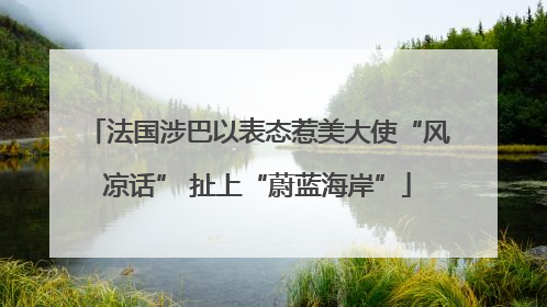 法国涉巴以表态惹美大使“风凉话” 扯上“蔚蓝海岸”