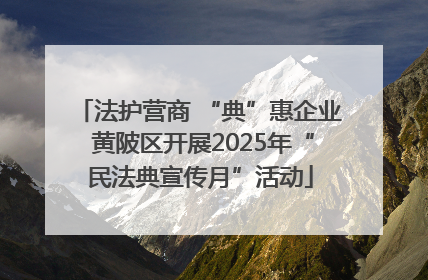 法护营商 “典”惠企业 黄陂区开展2025年“民法典宣传月”活动