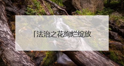 法治之花绚烂绽放 云南民法典宣传月活动成效显著