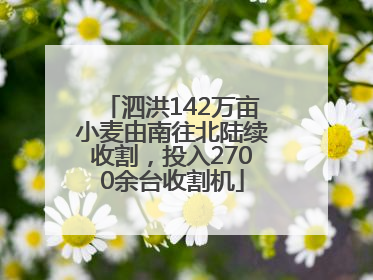 泗洪142万亩小麦由南往北陆续收割，投入2700余台收割机