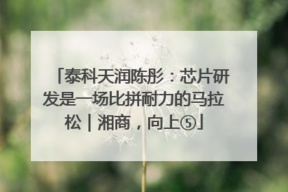 泰科天润陈彤：芯片研发是一场比拼耐力的马拉松｜湘商，向上⑤