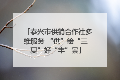 泰兴市供销合作社多维服务 “供”绘“三夏”好“丰”景