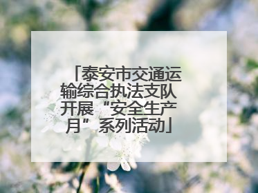 泰安市交通运输综合执法支队开展“安全生产月”系列活动