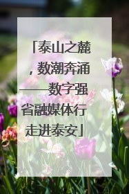 泰山之麓，数潮奔涌——数字强省融媒体行走进泰安