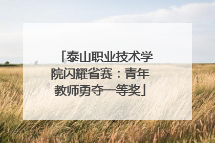 泰山职业技术学院闪耀省赛：青年教师勇夺一等奖