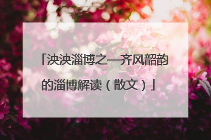 泱泱淄博之—齐风韶韵的淄博解读（散文）