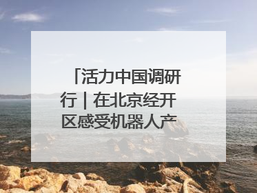 活力中国调研行｜在北京经开区感受机器人产业创新发展